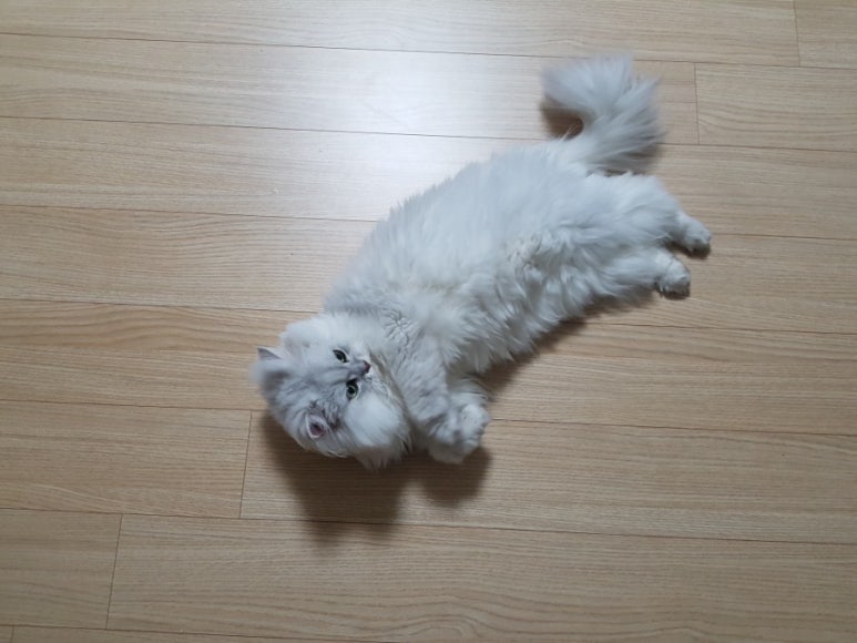 (주)퓨라이트 이미지