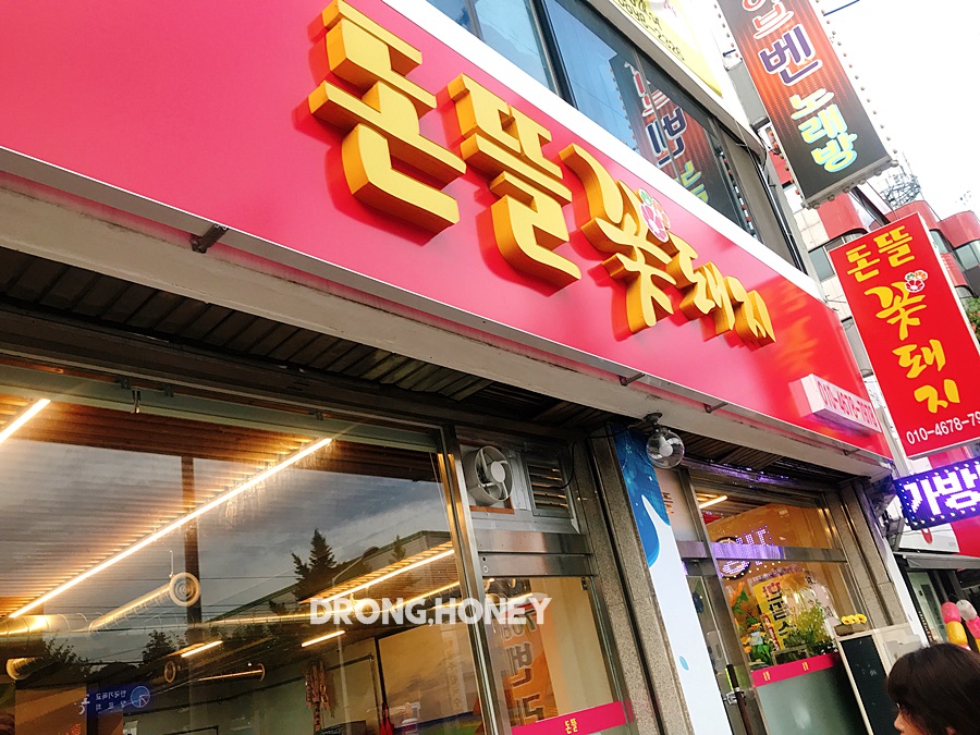돈뜰꽃돼지 이미지