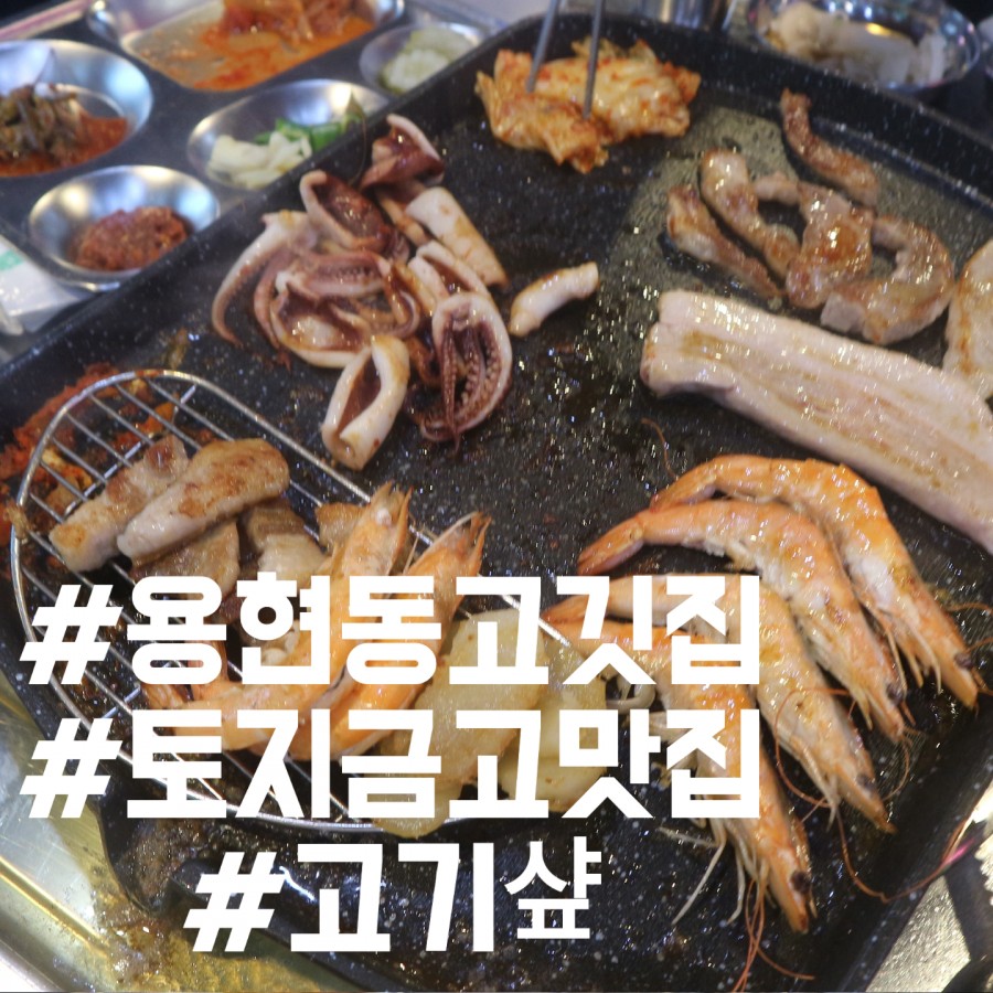 고기샾 이미지
