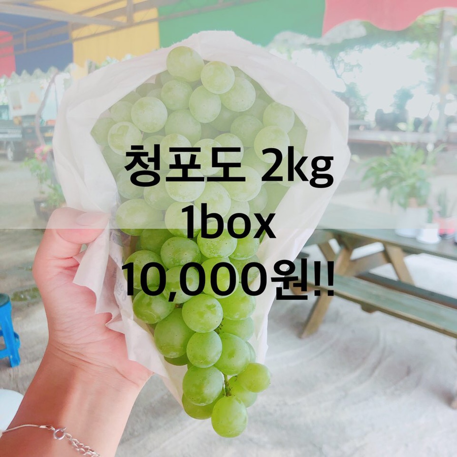 성거거봉휴대폰 이미지