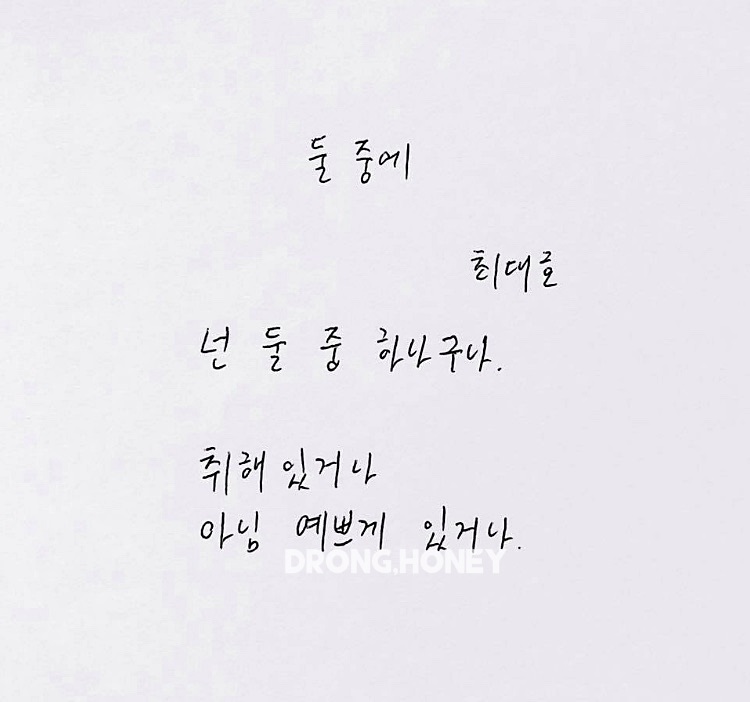 돈뜰꽃돼지 이미지