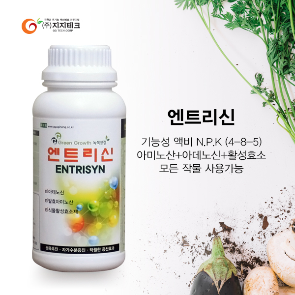 (주)엔트리 이미지
