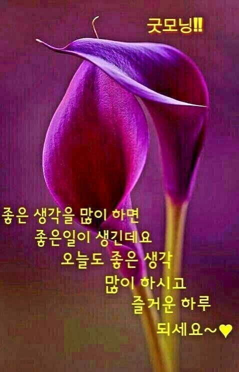 비엔비푸드시스템 이미지