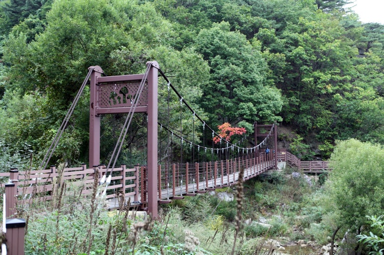 트레일(Trail) 이미지