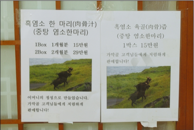 가막골흑염소 이미지
