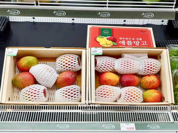 대정푸드 이미지