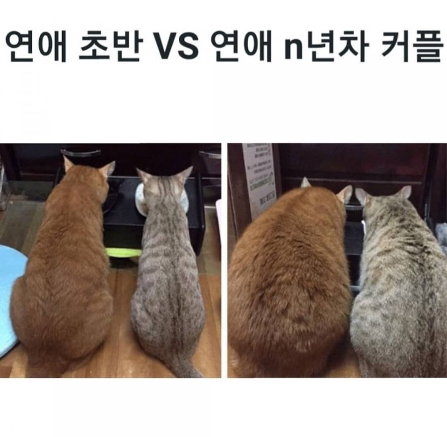 공감 이미지