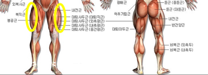 화정헬스 이미지