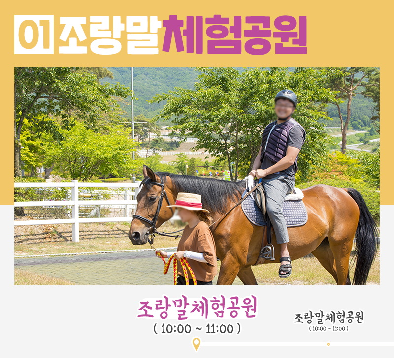 제주원데이투어 이미지