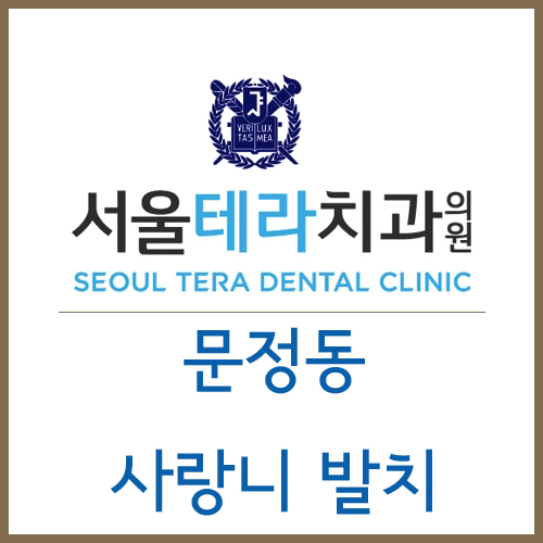 서울테라치과 이미지