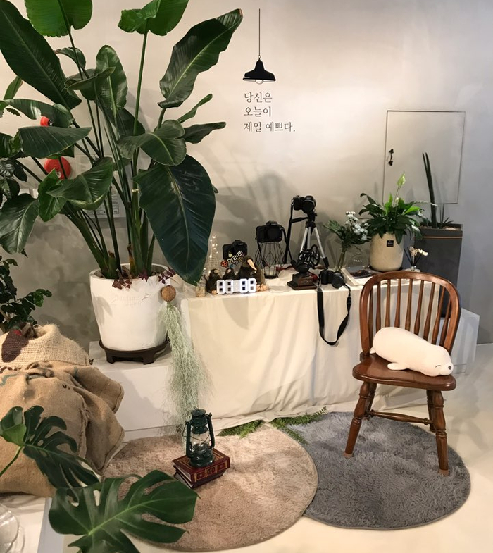카페갤러리줌 이미지