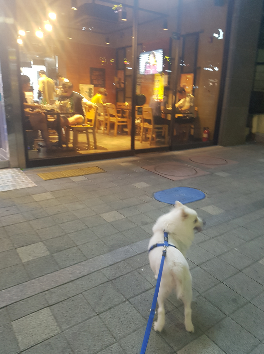 교촌치킨남양점 이미지