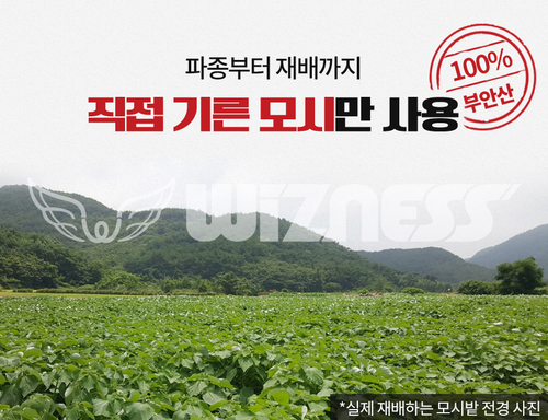한산모시잎칼국수 이미지
