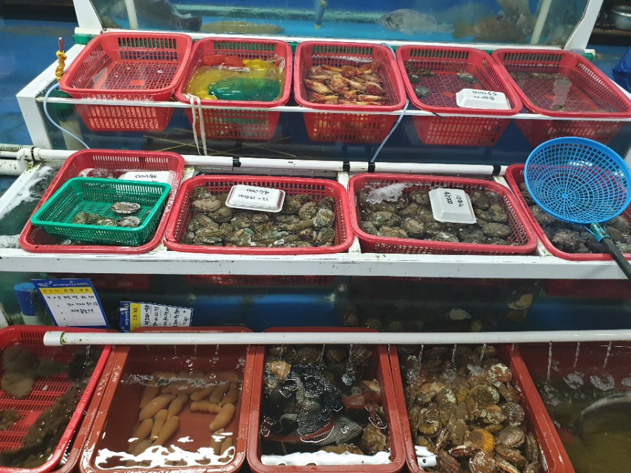 덕우수산 이미지