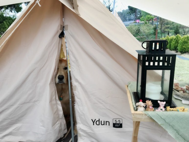 이든테크 이미지