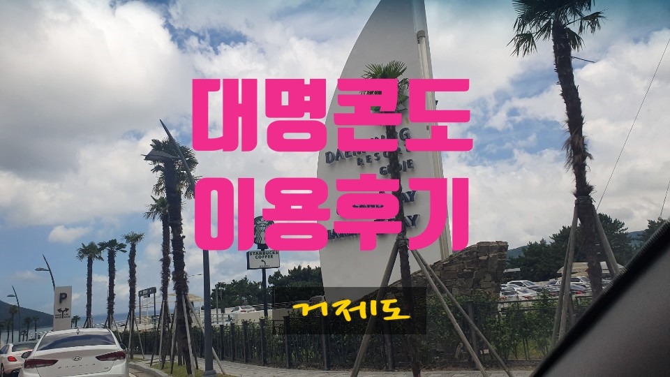 대명이용 이미지