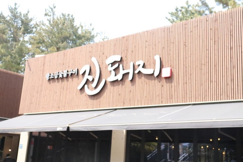태풍흑돼지 이미지