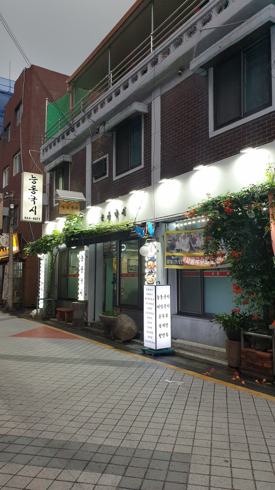 능동국시 이미지