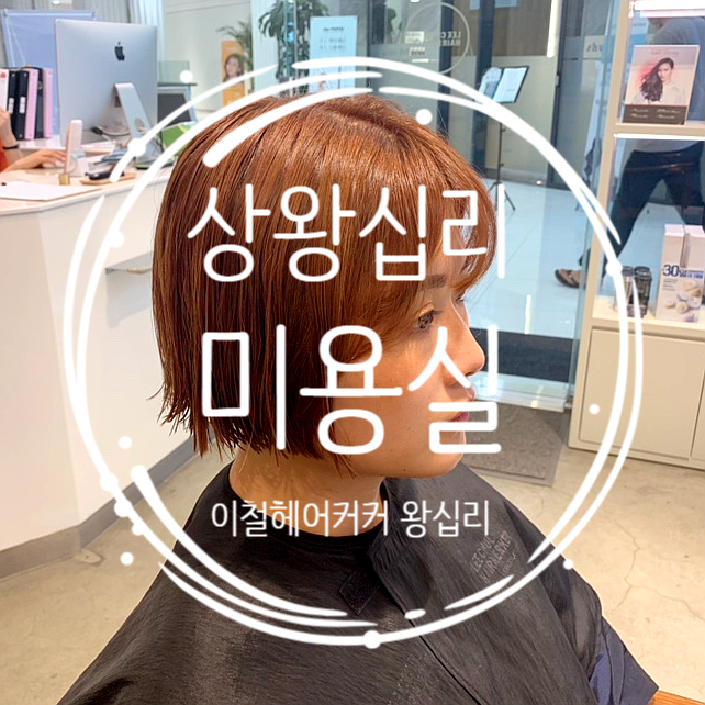 핑크헤어타운 이미지