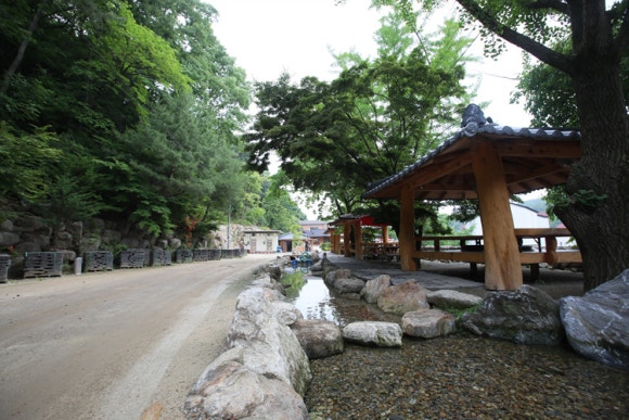 산골오리 이미지