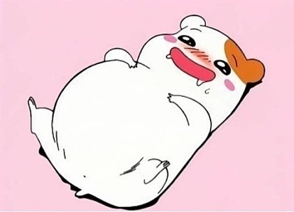브리꼴라주 이미지