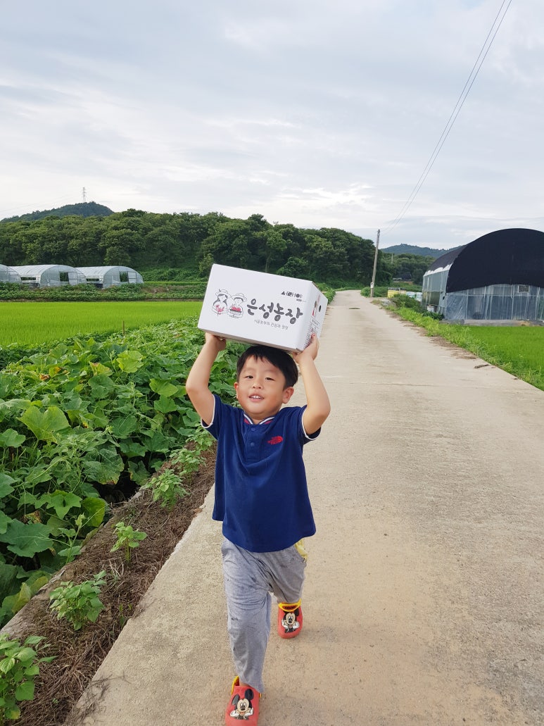 은성농산물 이미지