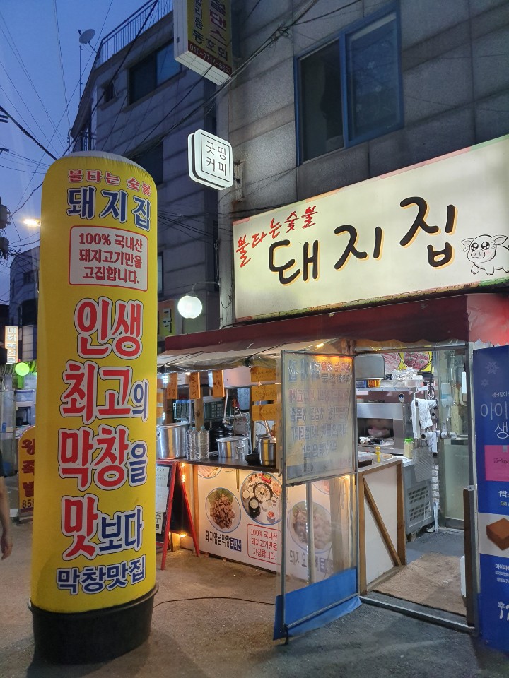 불타는돼지 이미지