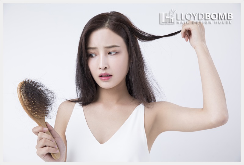 머리카락 이미지