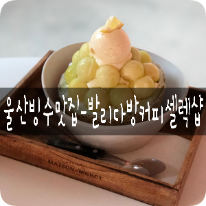 발리다방 이미지