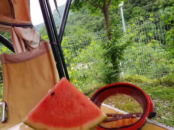 수락베이스캠프 이미지