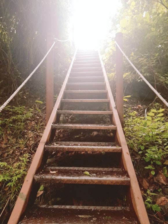 수락베이스캠프 이미지