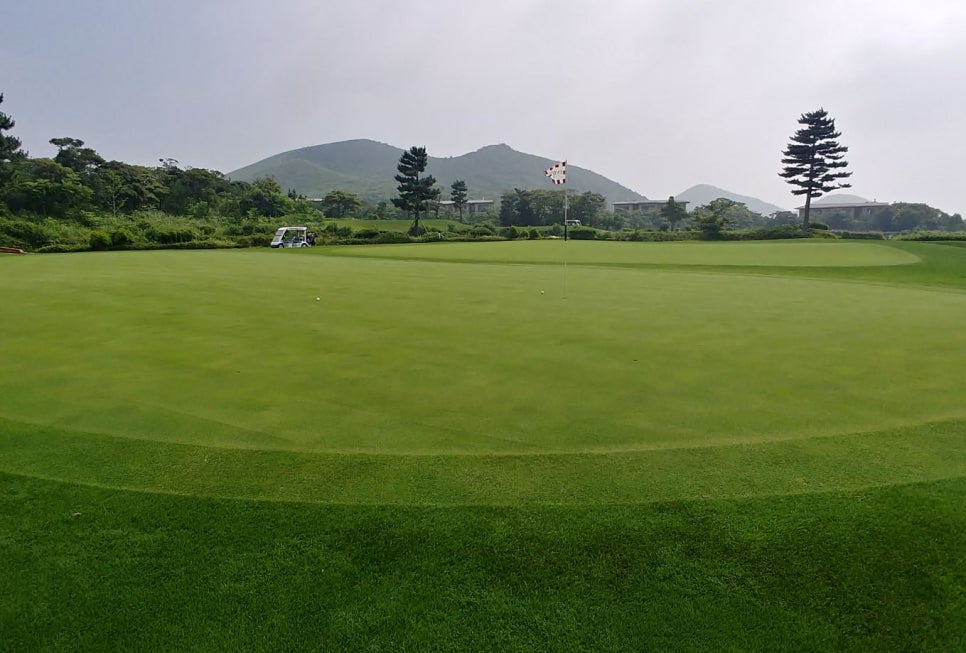 제주그린(주) 이미지