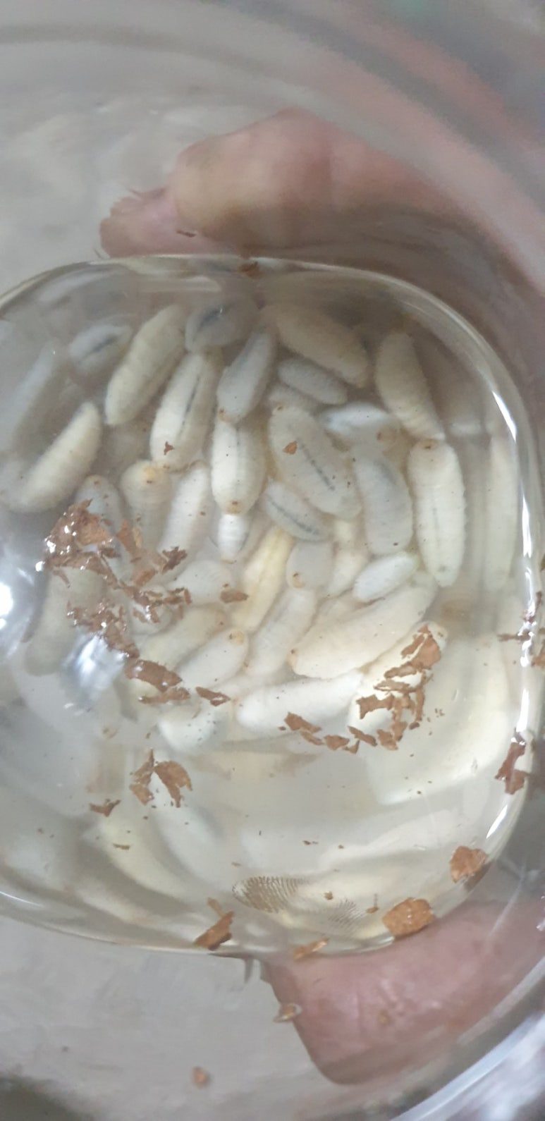 반딧불농원 이미지