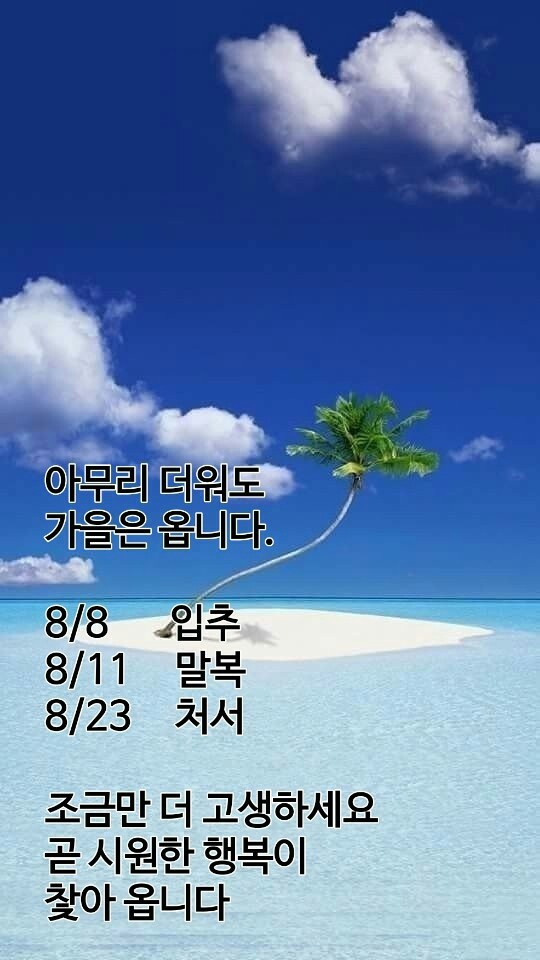 호원덴트칼라 이미지