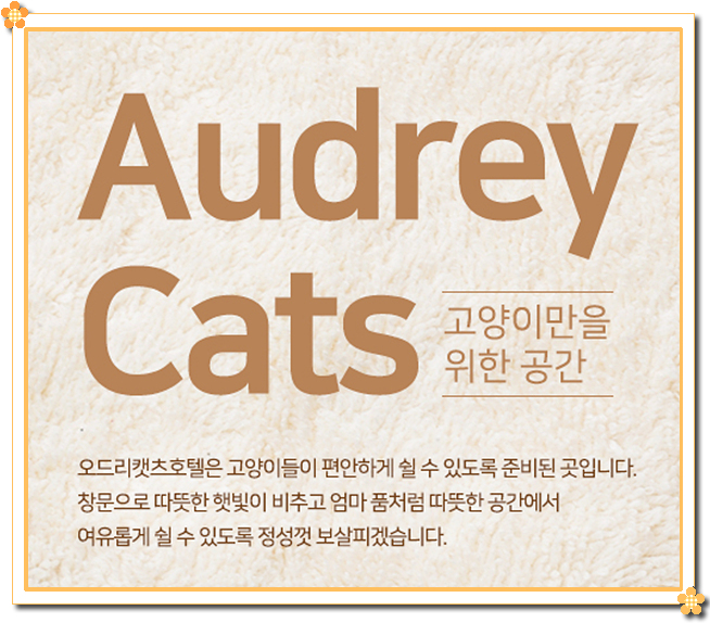 캣츠호텔 이미지