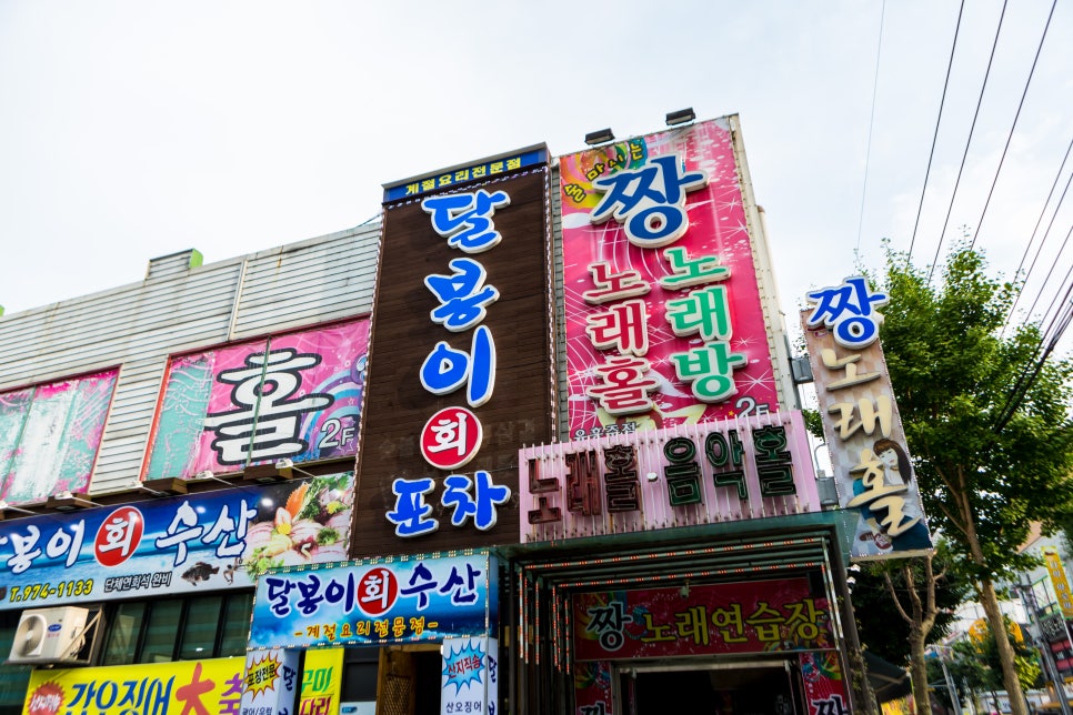 즐거운음악홀 이미지