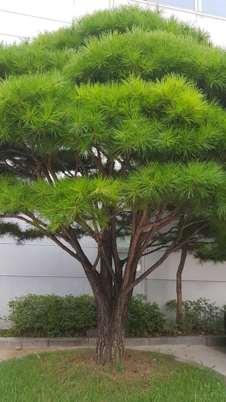 기산전자 이미지
