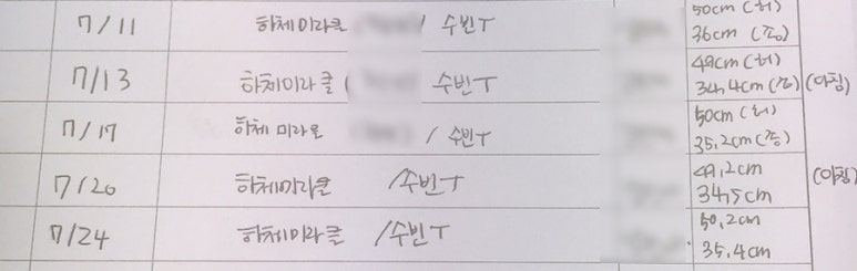 더 벨류 에스테틱 이미지