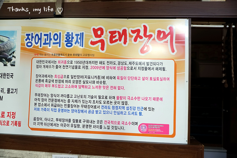 온양장어 이미지