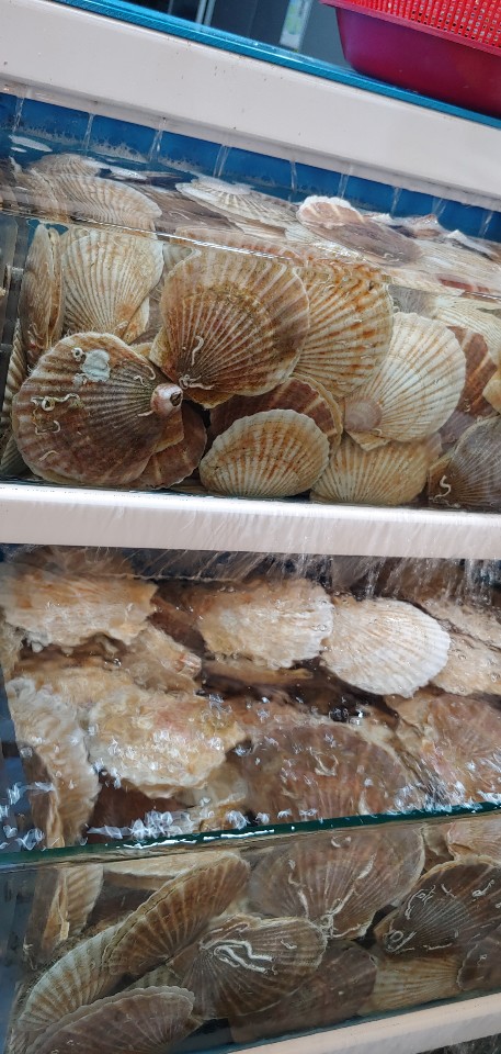 별이네수산 이미지