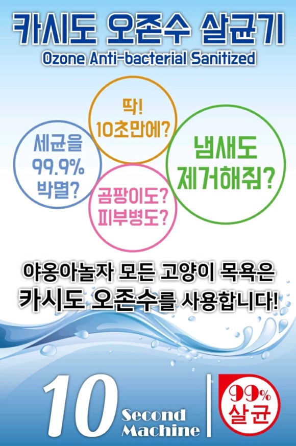 야옹아놀자 이미지