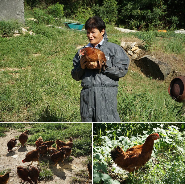 큰나무유통 이미지