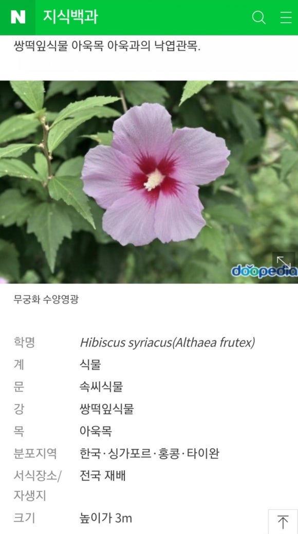 무궁화꽃화원 이미지