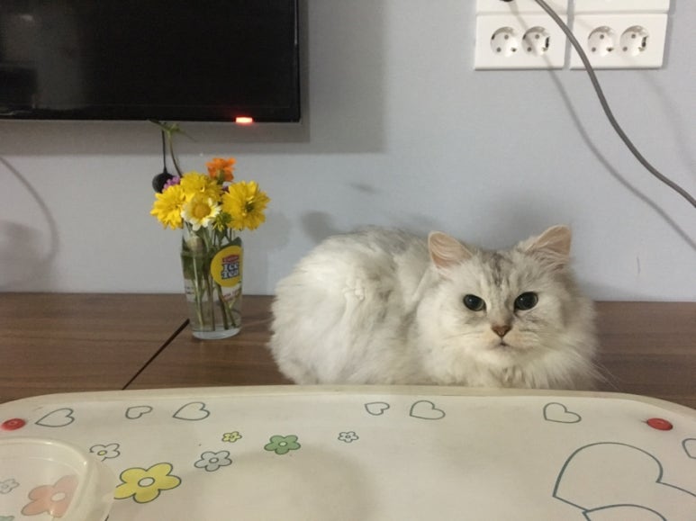 이홍베이커리 이미지