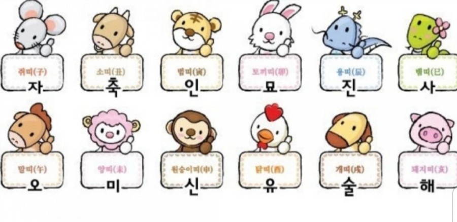 청혼연정결혼정보 이미지