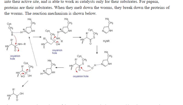 IB Chem, IB Bio 공부법 - 7점 받기 관련 이미지 1