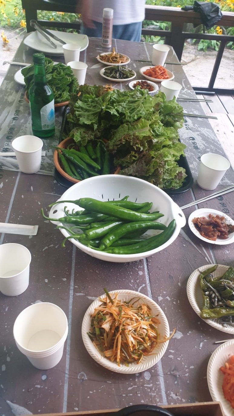 더불어사는터 이미지