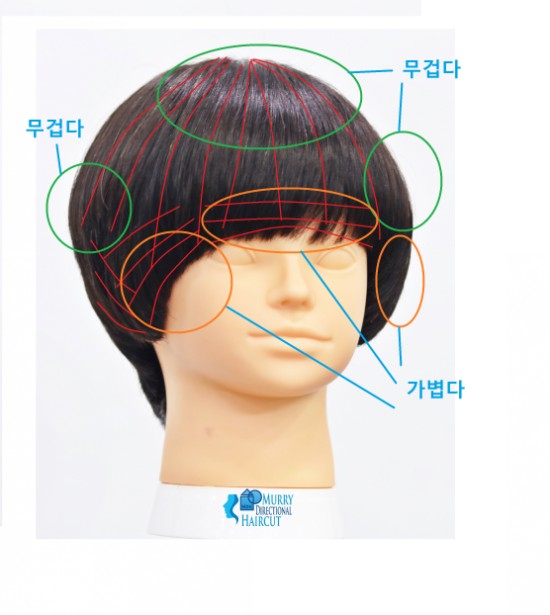 컷트이야기 이미지