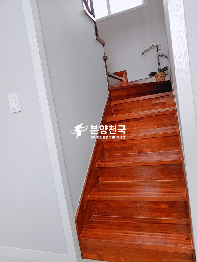 펠리체(Felice) 이미지