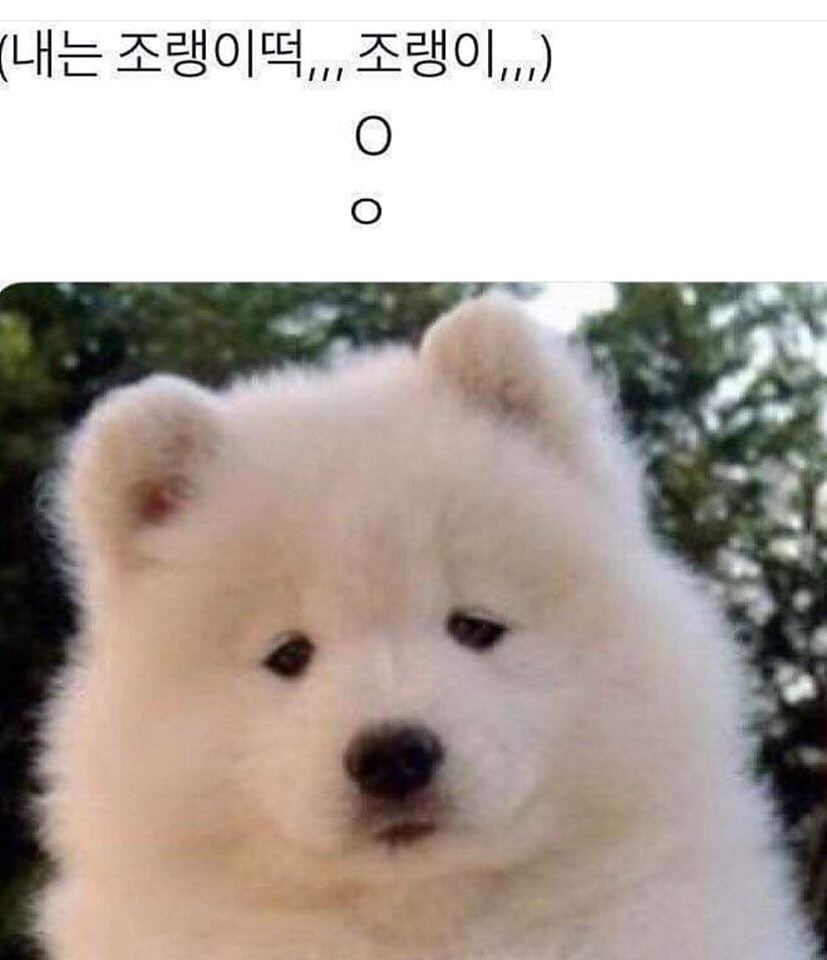 대왕포차 이미지